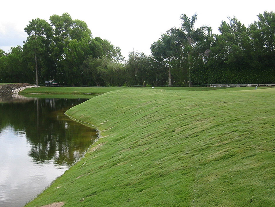 Freshly sodded shoreline along a Country Side golf course pond after restoration