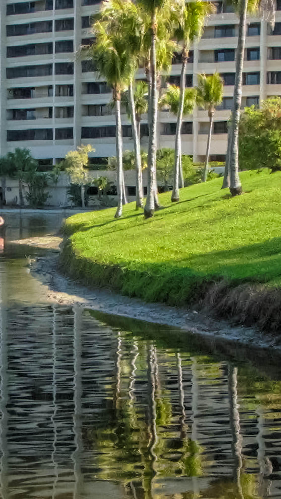 Eroded canal bank along a high-rise residential golf community before restoration