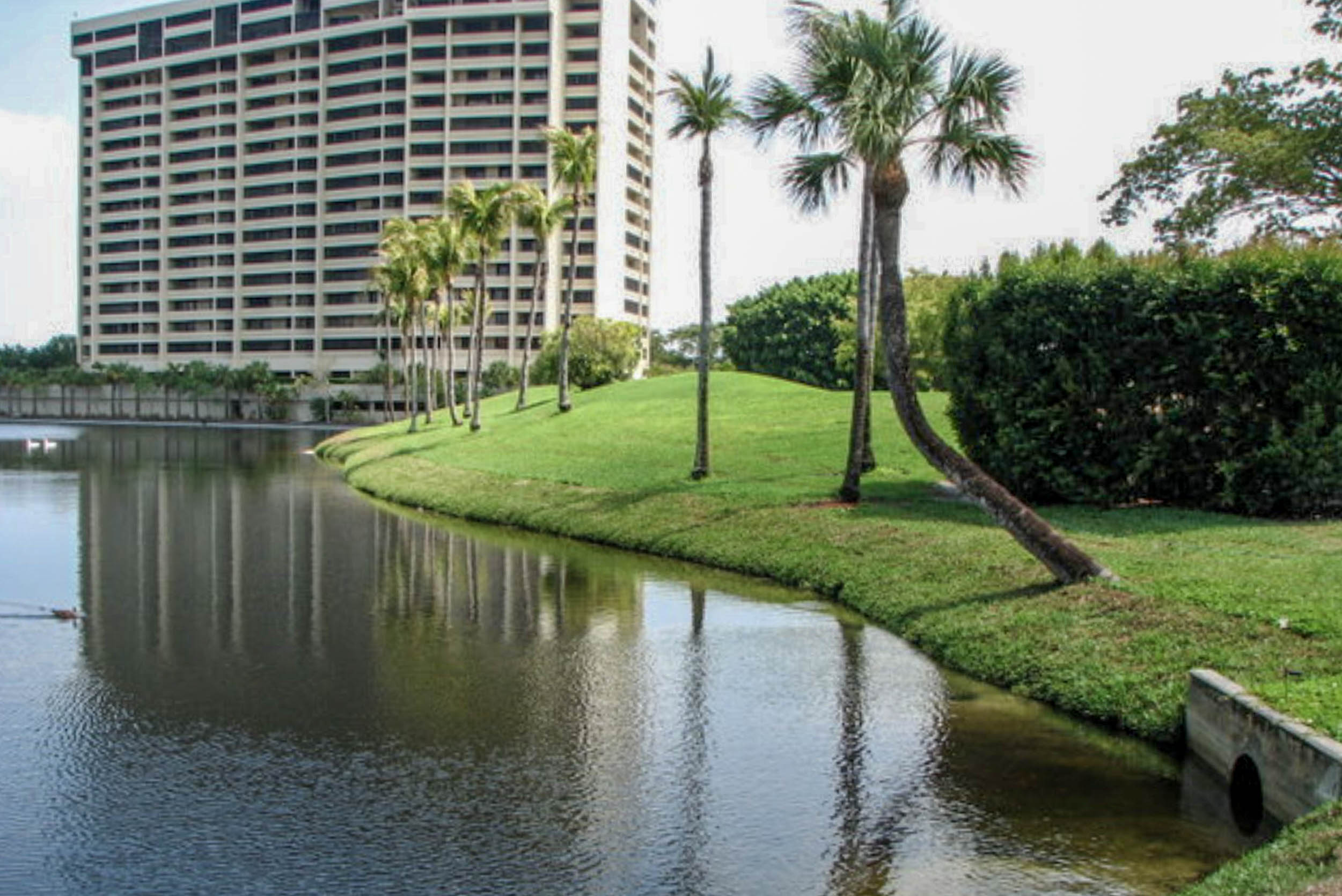 Restored canal sweeping past a high-rise community with palms