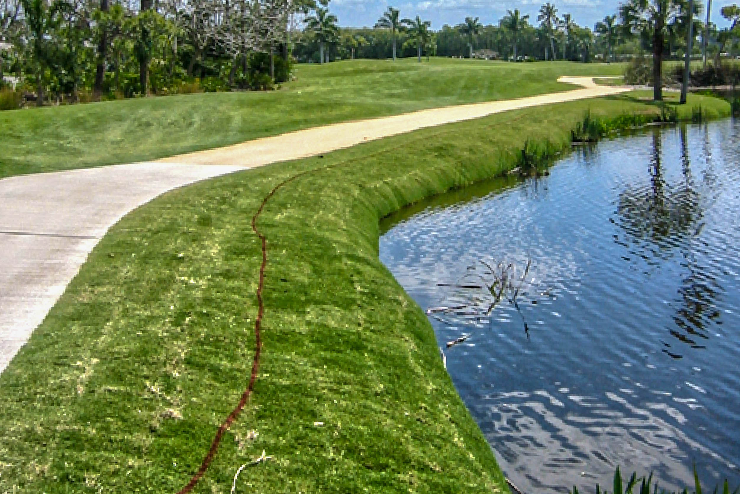 Cart path along a restored grassy pond bank on the Windstar Golf Course