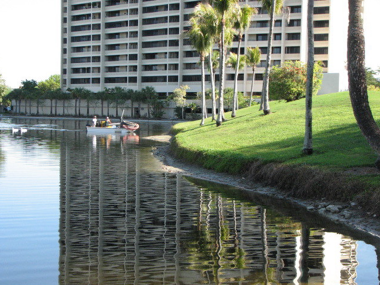 High-rise and palm-lined pond bank before restoration at Yacht, Golf & Tennis