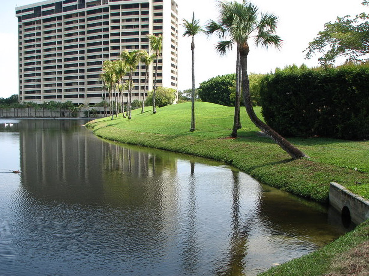 Restored palm-lined pond bank reflecting a high-rise at Yacht, Golf & Tennis