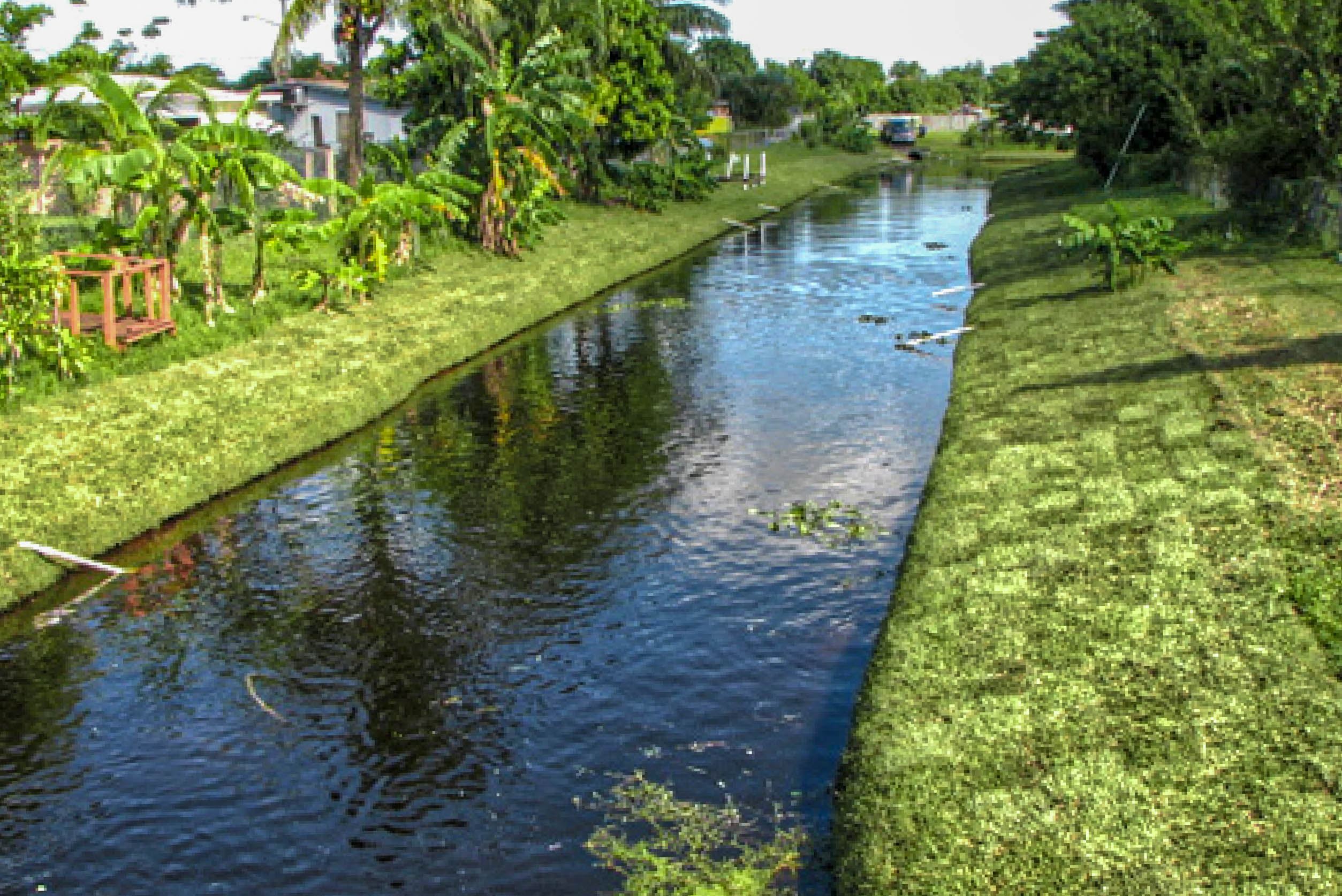 Restored Margate canal lined with palms and freshly planted grass