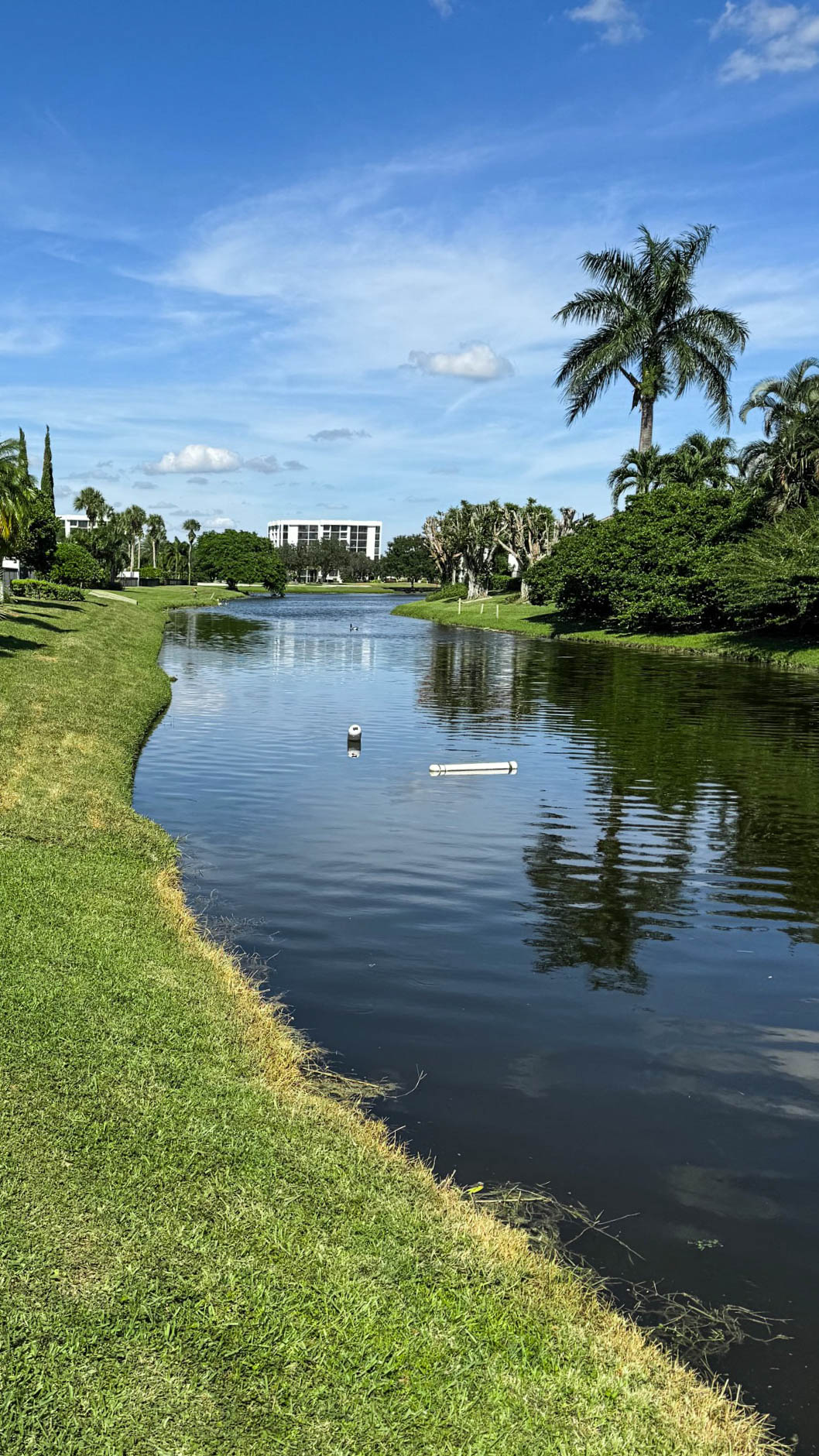 Calm Boca Raton residential canal with palm-lined banks after restoration