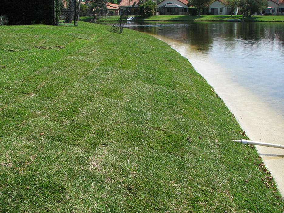 Restored grassy lake bank at a Davie residence overlooking neighboring homes