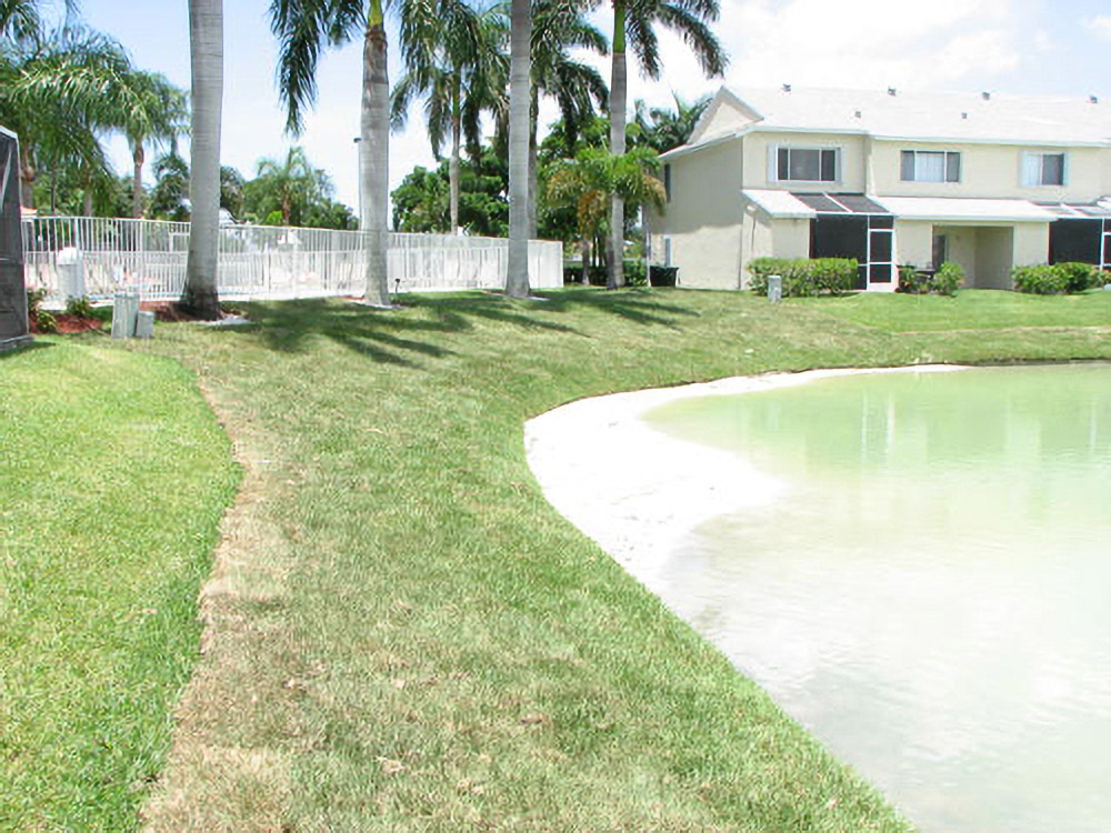 Restored grassy pond bank at Oakbridge with palm trees and residences beyond