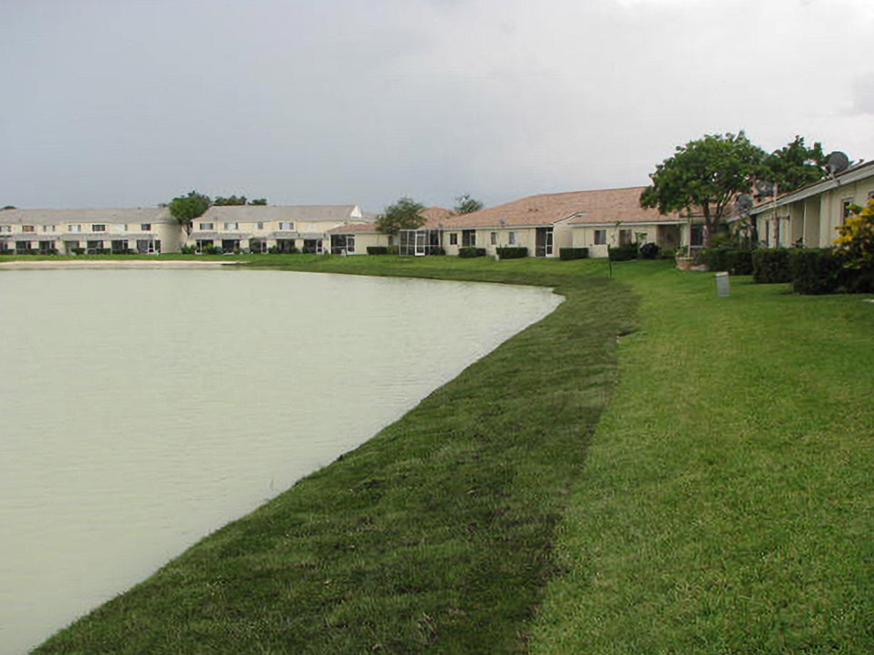 Restored Oakbridge pond shoreline with freshly sodded bank and townhomes beyond