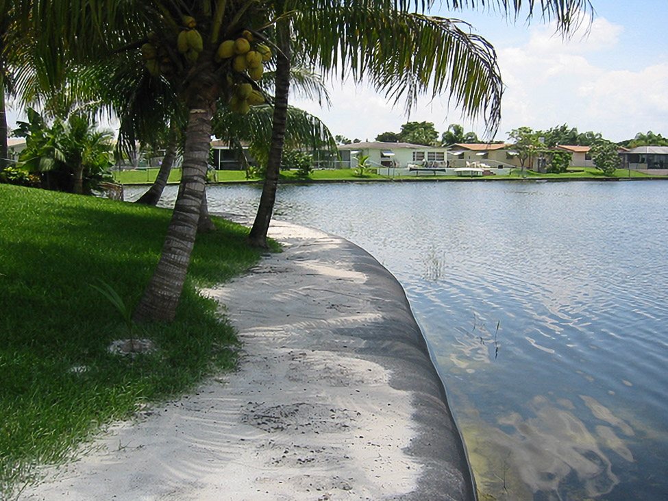 Coconut palm and sandy shoreline during Geo Tube installation at a Pembroke Pines residence