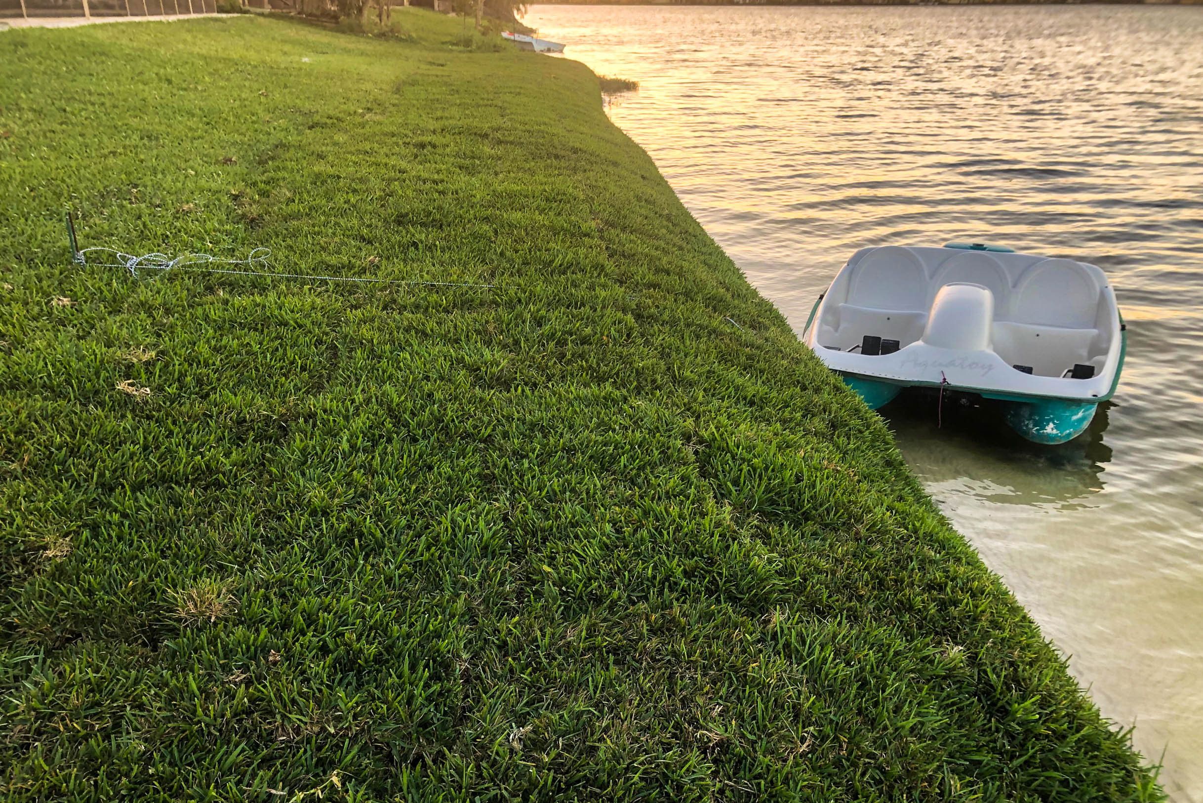 Residential lake bank restoration with a pedal boat at the water's edge