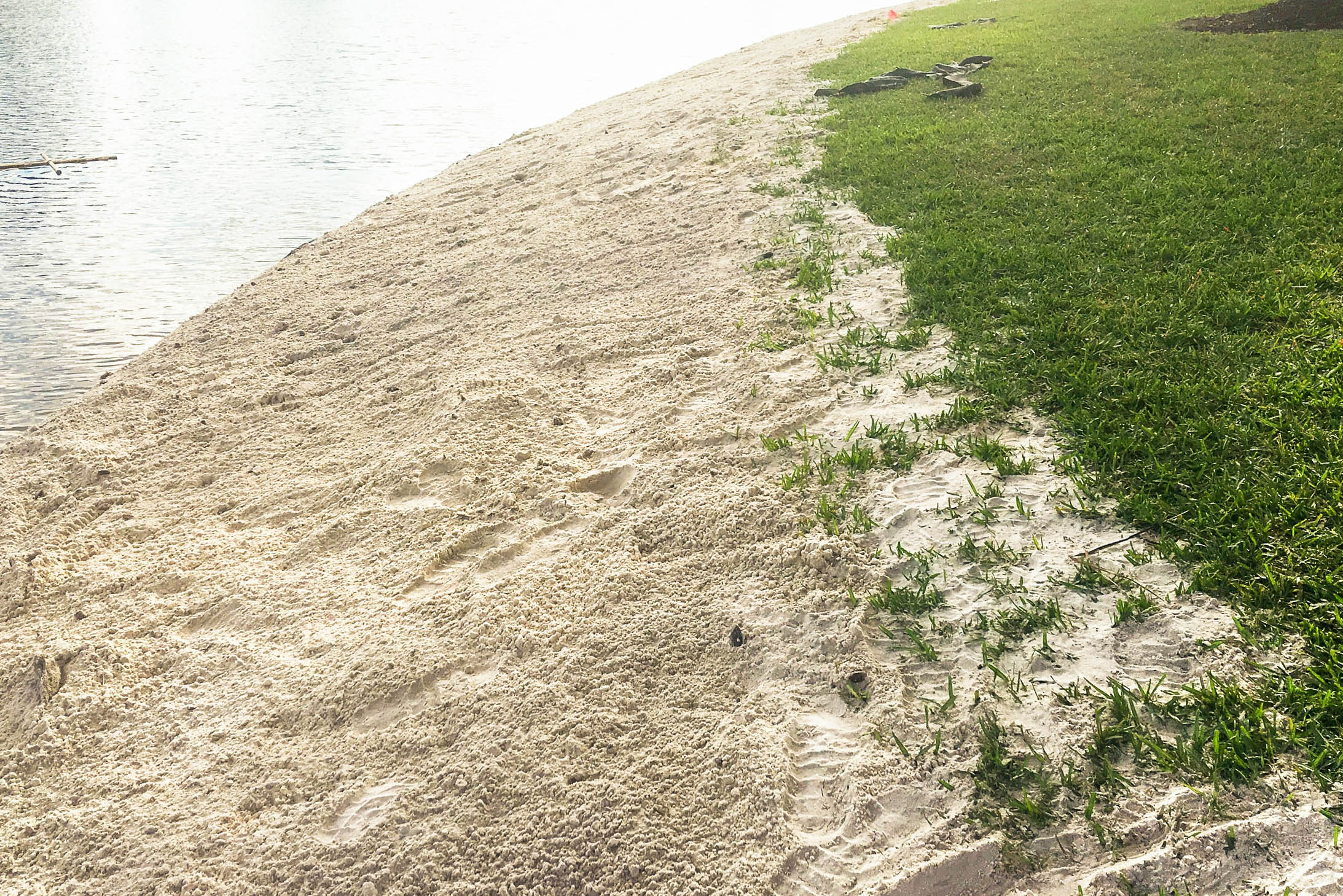 Sandy shoreline along a lake at The Villages after restoration