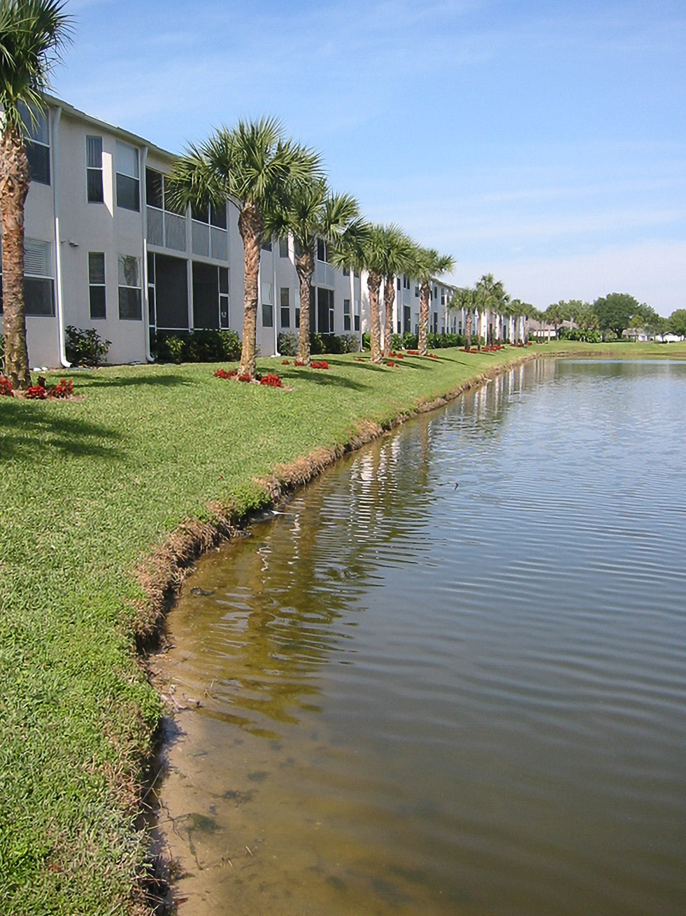 Palm-lined condo bank along a pond at The Villages before lake bank restoration