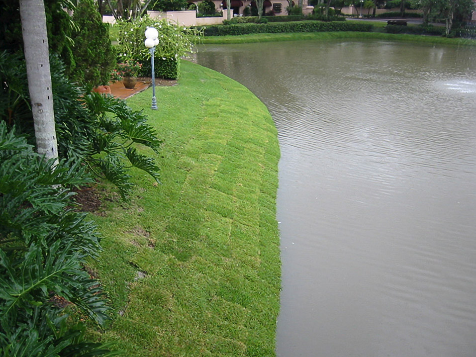 Restored grassy pond bank at Villa Destes after lake bank stabilization