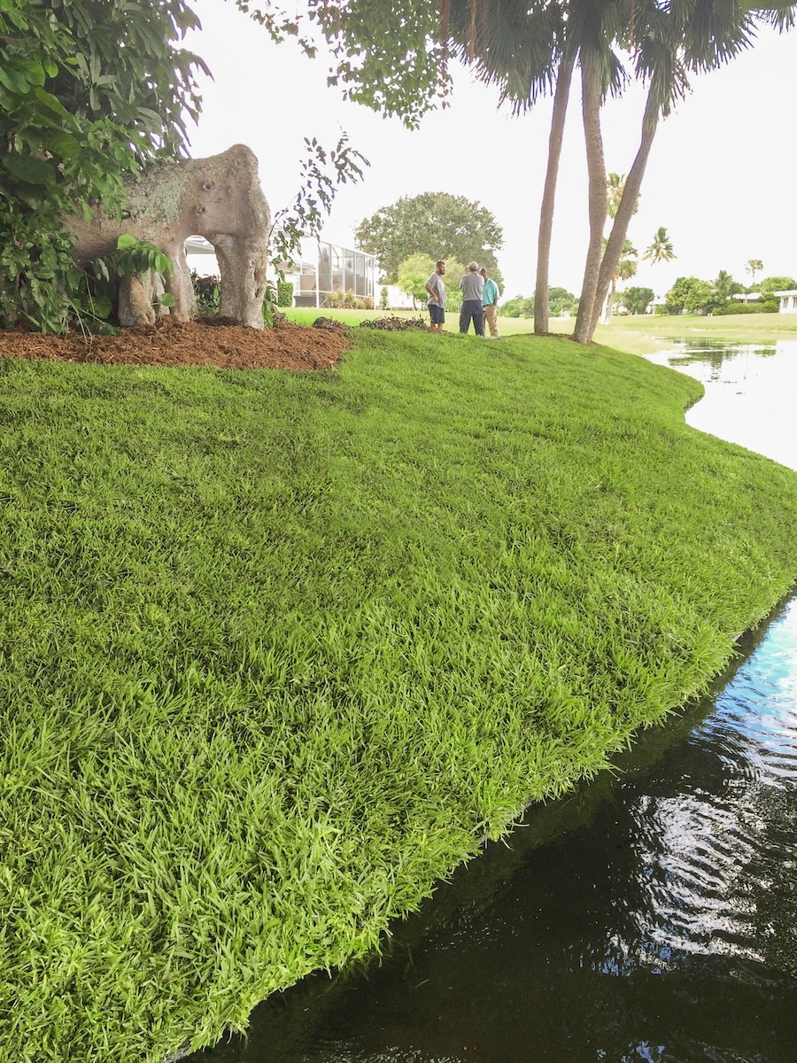 Restored Florida lake bank with stabilized green slope after Geo Tube installation