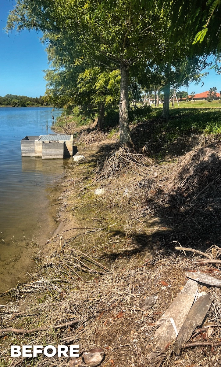 Eroded Florida lake bank with exposed tree roots before Geo Tube restoration