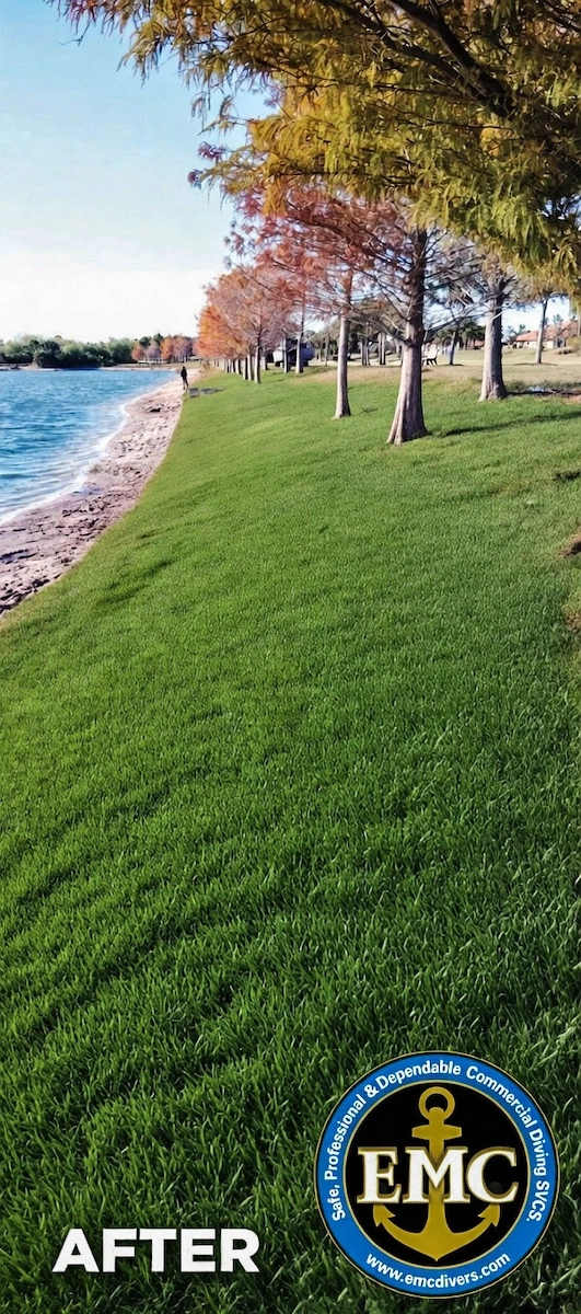 Restored Florida lake bank with stabilized green slope after Geo Tube installation